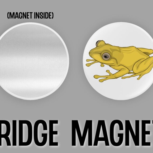 Frog Fridge Magnets Set Of 6 Metal Magnets For Home Office Kitchen School - Picture 3 of 6